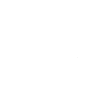 DiData logo 